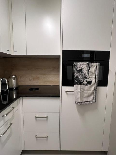 New Renovated Apartment In Center Of ダヴォス・プラッツ エクステリア 写真
